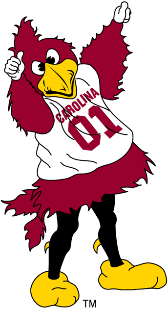 South Carolina Gamecocks 2002-Pres Mascot Logo iron on transfers for clothing